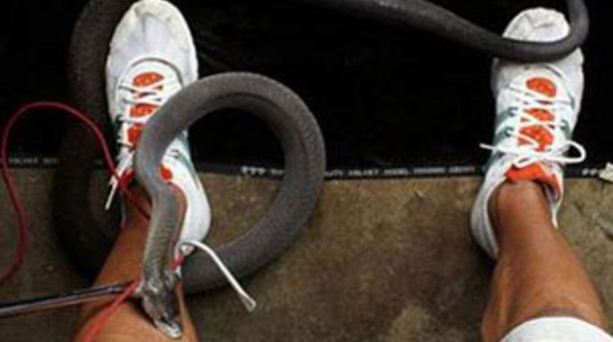 Yılanın &ouml;l&uuml;mc&uuml;l ısırığını b&ouml;yle g&ouml;r&uuml;nt&uuml;ledi!