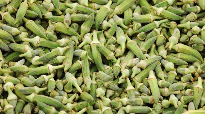 Bamyanın faydaları nelerdir? Bamya hangi hastalığa iyi gelir, bağırsaklara iyi gelir mi?