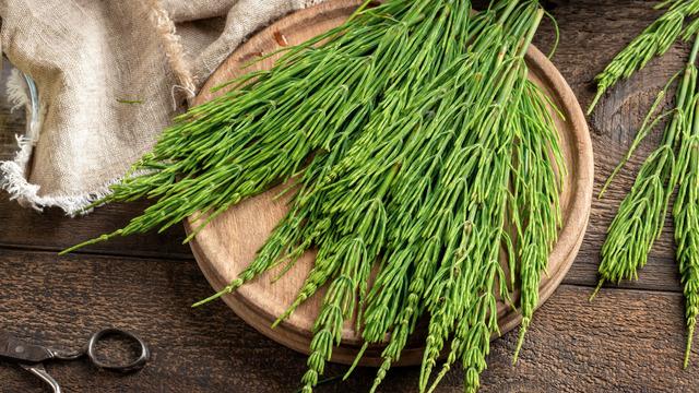 Kırkkilit otunun faydaları nelerdir, kırkkilit otu ne işe yarar? Kırkkilit otu romatizmada nasıl kullanılır?