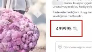 500 bin TL'den satılan çiçek görenleri şaşırttı! Hollanda'dan ithal ediliyor fiyatı rengine göre değişiyor