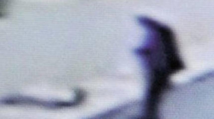 K&ouml;pekle ilişkiye giren sapık...