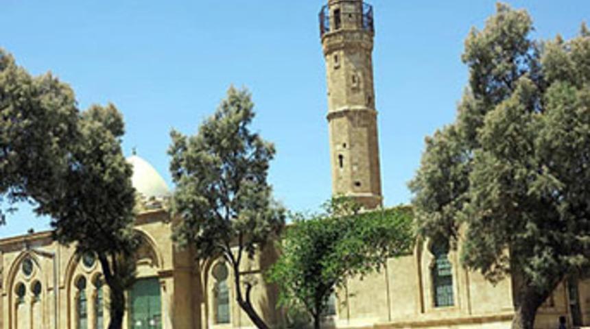 Camide i&ccedil;ki festivalinde geri adım