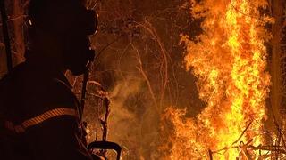 Düzce'de çıkan yangında yaklaşık 6 dönüm ormanlık alan zarar gördü