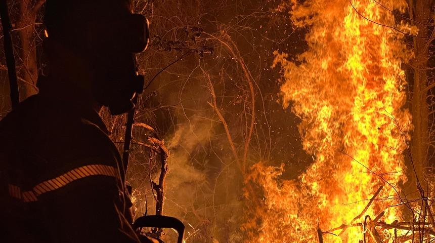 Düzce'de çıkan yangında yaklaşık 6 dönüm ormanlık alan zarar gördü