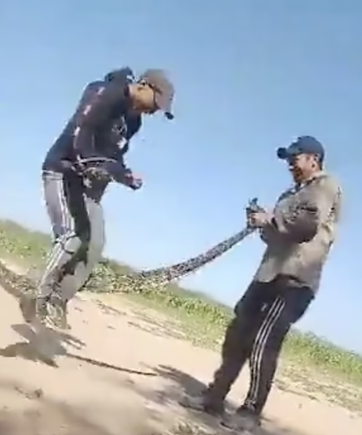 Akıllara durgunluk veren görüntüler! Dev yılanı atlama ipi olarak kullandılar... Şakalaştıkları anlar sosyal medyada infial yarattı G3