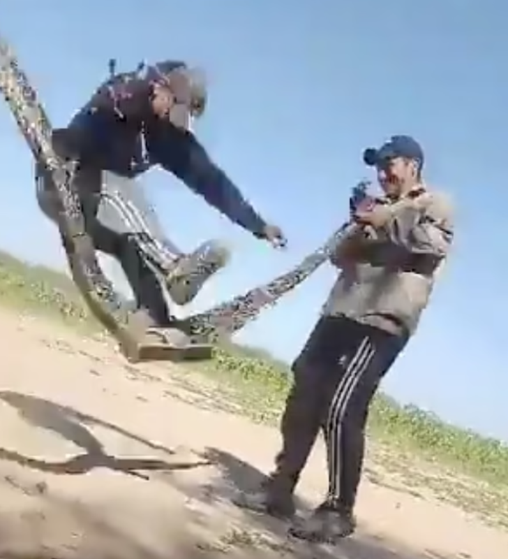 Akıllara durgunluk veren görüntüler! Dev yılanı atlama ipi olarak kullandılar... Şakalaştıkları anlar sosyal medyada infial yarattı G4