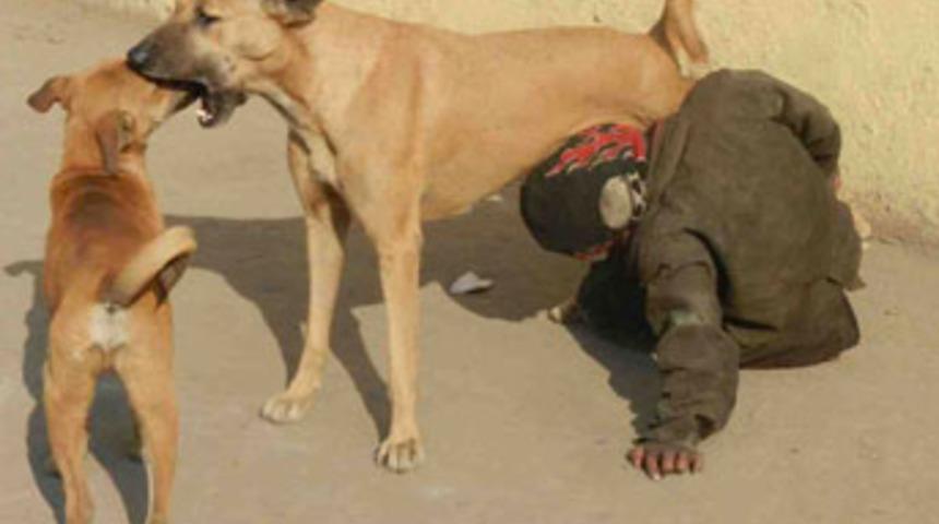 Aç kalan çocuğu köpek emzirdi!