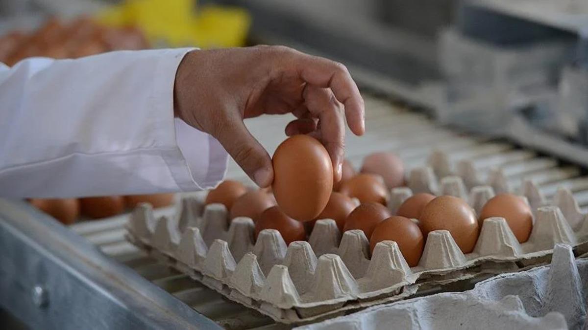 Yumurta fiyatlarında rekor artış! Sadece 4 haftada oldu 1