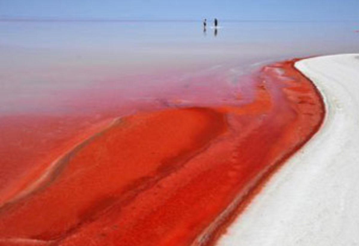 tuz golu ndeki kizilligin sirri cozuldu yasam haberleri