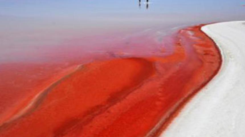 Tuz Gölü'ndeki 'kızıllığın sırrı' çözüldü!