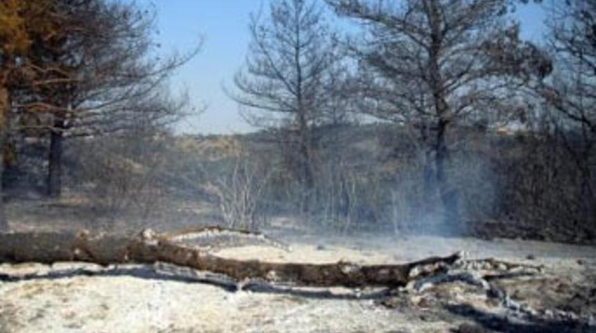 T&uuml;rkiye 'alevlere teslim'