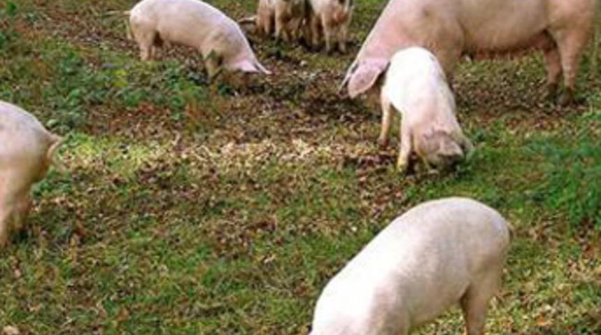 &Ccedil;ocuklarını &ouml;ld&uuml;r&uuml;p yedi!