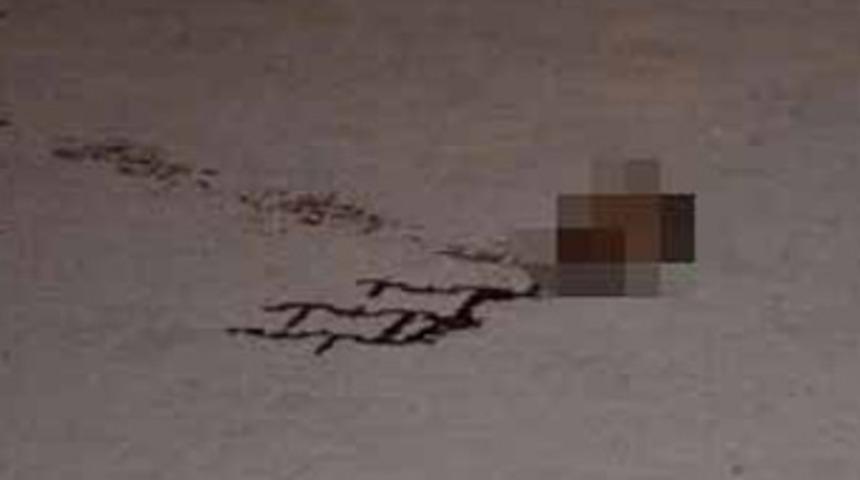 K&ouml;y meydanında inanılmaz vahşet!