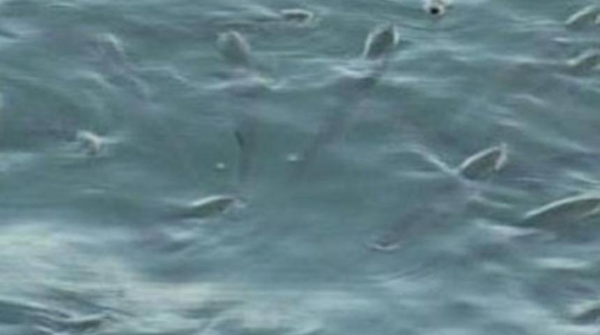 Deprem paniği yarattılar!