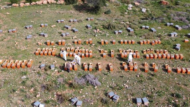 Kilosu 1000 TL! Sağlık açısından altın değerinde... Talep yağıyor 'İnsanlar faydasını öğrendi'