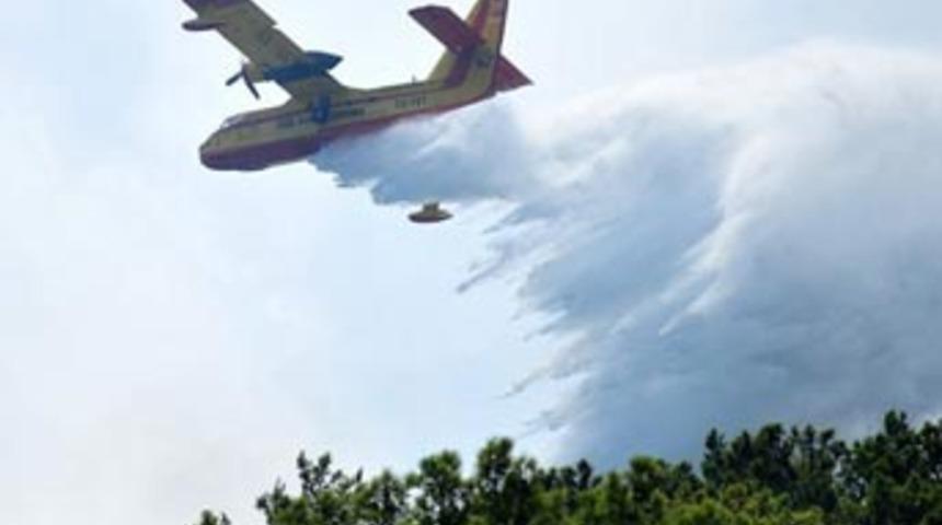 Sultanbeyli’de orman yangını!