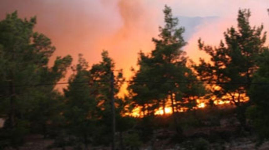 Orman yangını k&ouml;y boşalttırdı