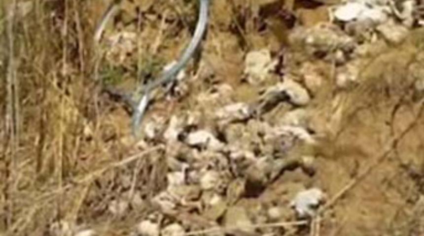 Rusya&rsquo;da skandal! Fı&ccedil;ılarda 248 cenin bulundu