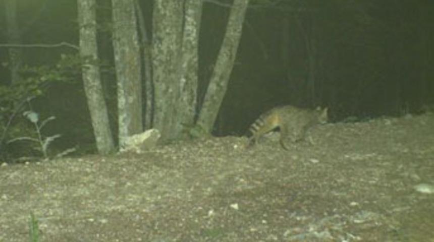 Varlığından kimsenin haberi yoktu!