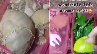 Çocuğunun beslenme çantasına şırdan ve kelle paça koydu! Sosyal medyadan paylaşınca gündem yaratıyor... Soğan çok yakışıyor