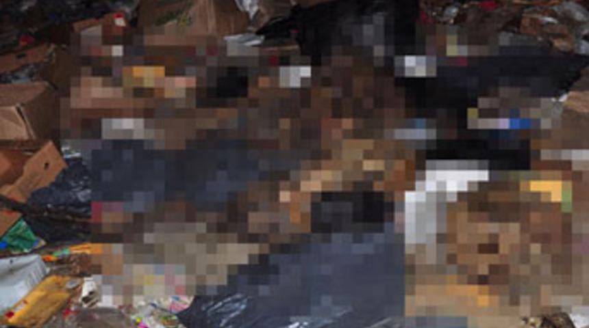 &Ccedil;&ouml;pl&uuml;kte &ccedil;ok sayıda k&ouml;pek &ouml;l&uuml;s&uuml; bulundu