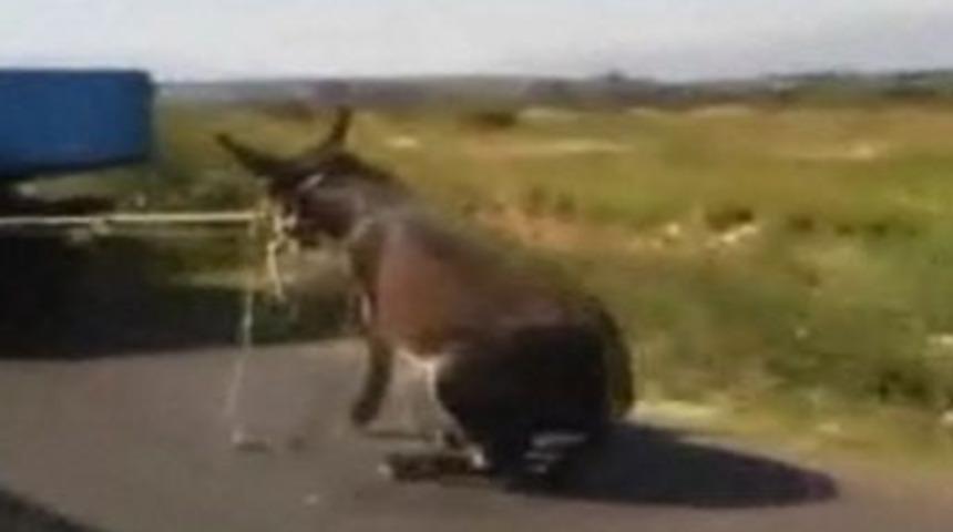 İnternette skandal g&ouml;r&uuml;nt&uuml; tepki &ccedil;ekti