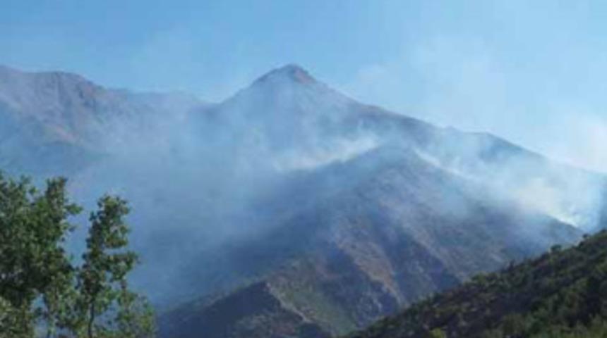 Hainler ka&ccedil;acak delik bulamadı