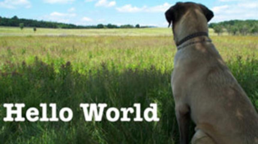 G&uuml;n&uuml;n mobil uygulaması: Phonto