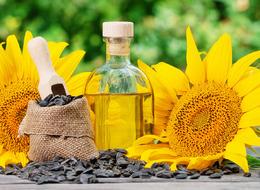 Ayçiçeği için yeni karar! Süre uzatıldı