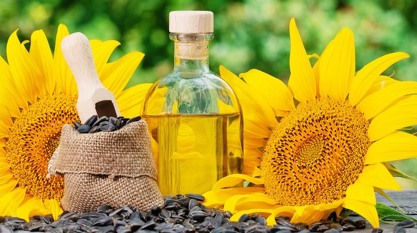 Ayçiçeği için yeni karar! Süre uzatıldı