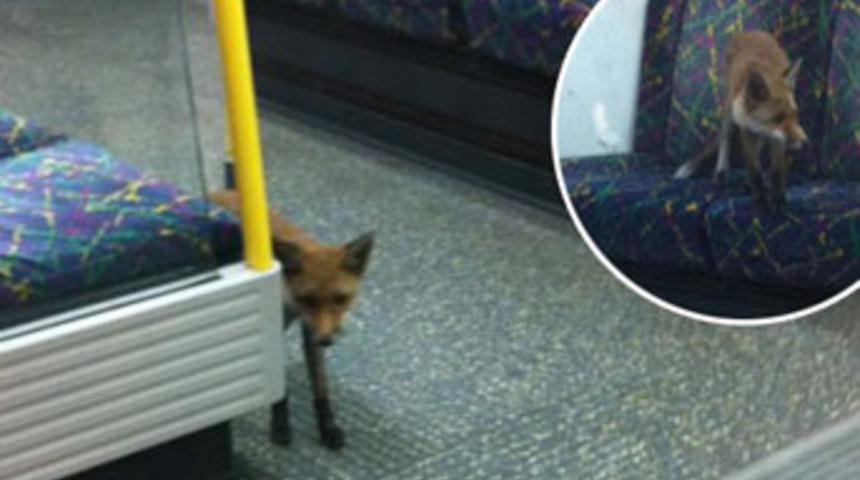 'Bacaklarımın arasından bir şey ge&ccedil;ti ama...'