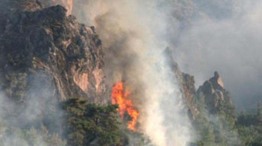 Bergama'da orman yangını