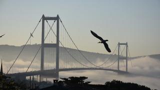 İstanbul Boğazı'nda sis etkili oluyor! Gemi trafiği askıya alındı