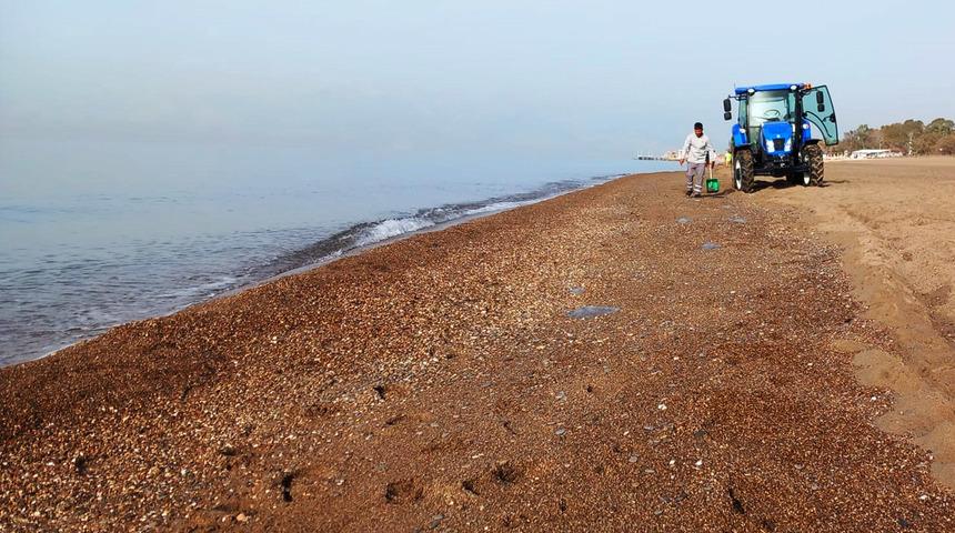 Sabah denizde görüldü, paniğe neden oldu! Yüzlerce var... Yer: Antalya