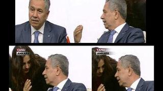 Arınç'tan tercümana: Aman ha çevirme buraları