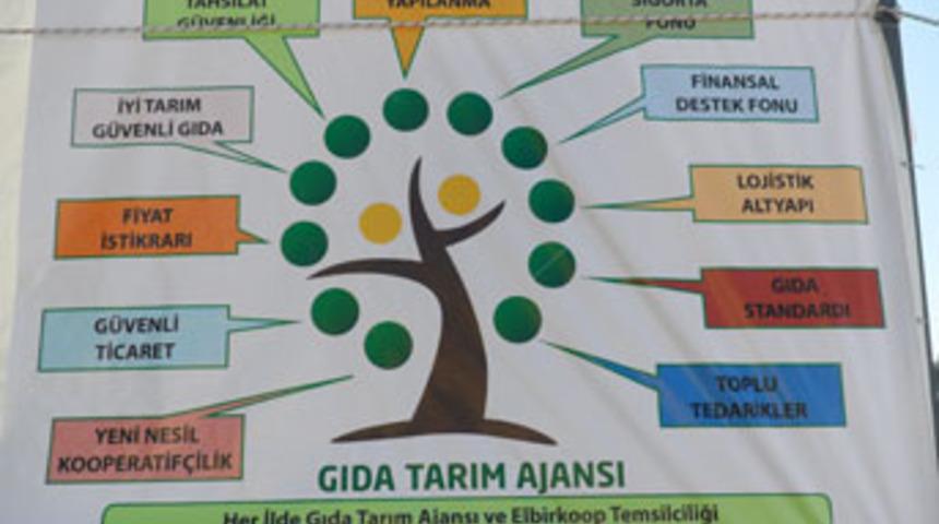 İnternet tabanlı ilk kooperatif kuruldu