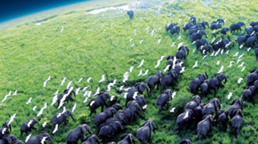 En &ccedil;ok izlenen belgesel geri d&ouml;n&uuml;yor