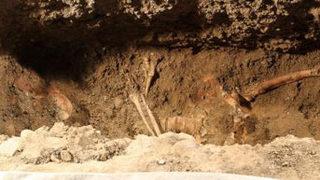 Sonunda Onu buldular mı?