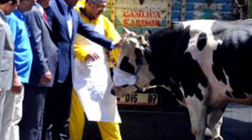 Kurban olacaktı, Sarıgül durdurdu