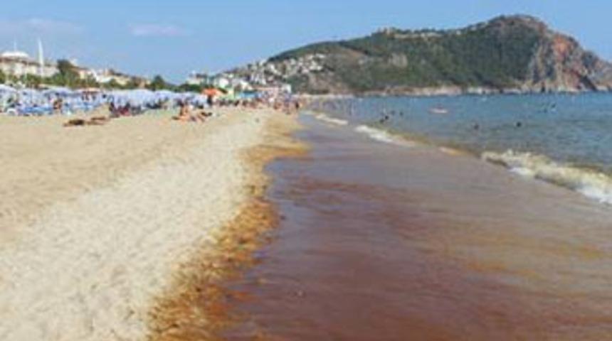 Kleopatra Plajı kızıla büründü