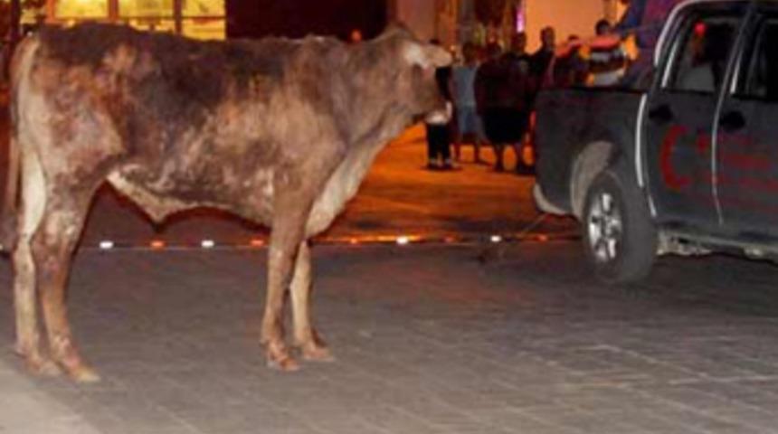 B&ouml;yle firar g&ouml;r&uuml;lmedi!