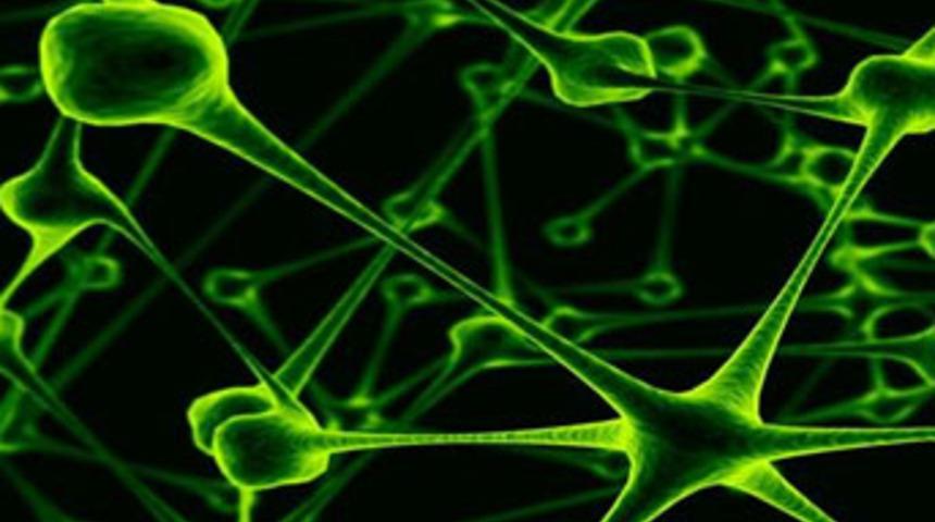 ABD'de ölümcül virüs salgını