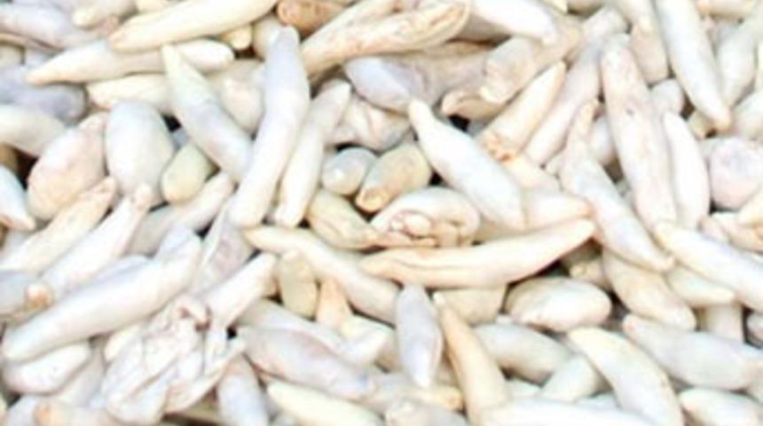 Bu sakız oru&ccedil; bozmuyor!