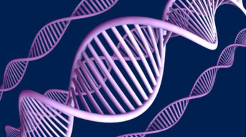 53 bin sayfalık kitabı DNA üzerine yazdılar