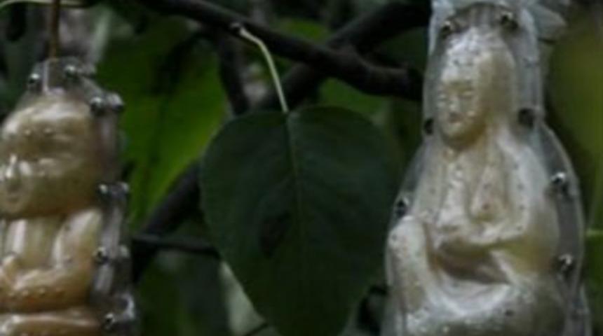 Çinliler bunu da yaptı