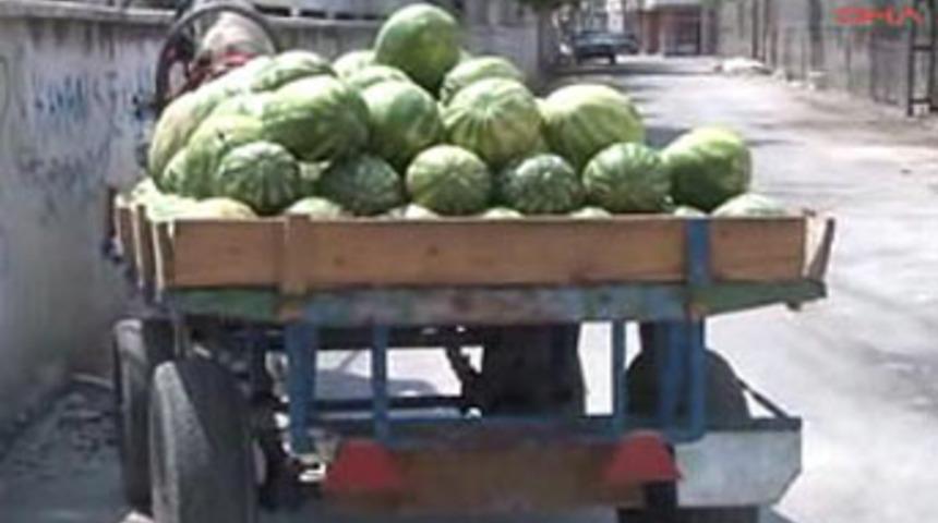 100 TL'yi alınca 'atı karpuzu' bıraktı