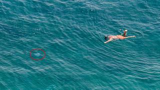 Yüzerken fark ettiler! Panikle sudan çıkmaya çalıştılar... 10 metrekareye 1 tane düşüyor