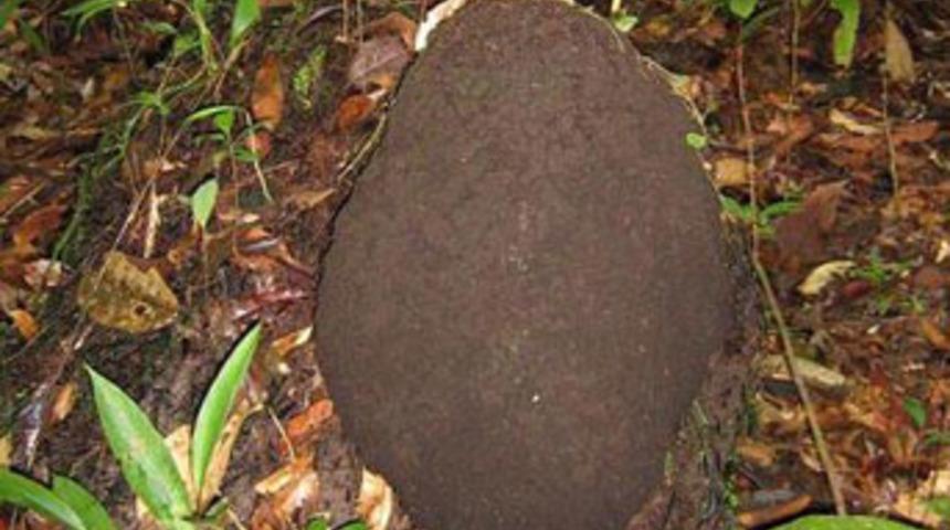 En k&uuml;&ccedil;&uuml;k intihar bombacısı!