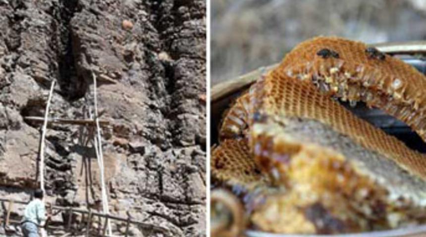 Bu balı yemek i&ccedil;in iki yıl bekleyen var