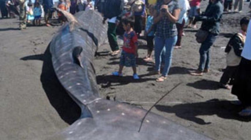 G&ouml;zlerine inanamadılar!